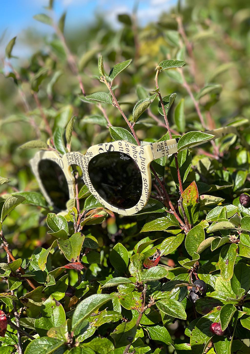 ReVision Round - Eco-Friendly Recyclable Paper Sunglasses